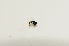  ( - S._Bot_Specimen126)  @12 [ ] No Rights Reserved (2015) Unspecified CNC