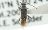  ( - CNC#HEM300928)  @12 [ ] CreativeCommons - Attribution (2011) CNC/CBG Photography Group Centre for Biodiversity Genomics
