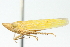  ( - CNC#HEM400229)  @11 [ ] CreativeCommons - Attribution (2011) CNC/CBG Photography Group Centre for Biodiversity Genomics