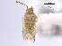  ( - CNC#HEM300737)  @11 [ ] CreativeCommons - Attribution (2011) CNC/CBG Photography Group Centre for Biodiversity Genomics