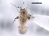  ( - CNC#HEM300770)  @11 [ ] CreativeCommons - Attribution (2011) CNC/CBG Photography Group Centre for Biodiversity Genomics