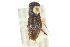  ( - CNC#HEM302689)  @11 [ ] CreativeCommons - Attribution (2011) CNC/CBG Photography Group Centre for Biodiversity Genomics