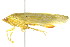  ( - CNC#HEM400789)  @13 [ ] CreativeCommons - Attribution (2011) CNC/CBG Photography Group Centre for Biodiversity Genomics