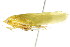  ( - CNC#HEM401262)  @13 [ ] CreativeCommons - Attribution (2011) CNC/CBG Photography Group Centre for Biodiversity Genomics