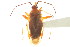  ( - CNC#HEM039555-1)  @14 [ ] CreativeCommons - Attribution (2011) CNC/CBG Photography Group Centre for Biodiversity Genomics