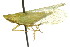  (Rhynchomitra lingula - CNC#HEM401788)  @11 [ ] CreativeCommons - Attribution (2011) CNC/CBG Photography Group Centre for Biodiversity Genomics