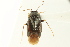  ( - CNC#PBI00113542)  @11 [ ] CreativeCommons - Attribution (2011) CNC/CBG Photography Group Centre for Biodiversity Genomics