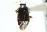  ( - CNC#PBI00394939)  @11 [ ] CreativeCommons - Attribution (2011) CNC/CBG Photography Group Centre for Biodiversity Genomics