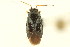  ( - CNC#PBI00394944)  @11 [ ] CreativeCommons - Attribution (2011) CNC/CBG Photography Group Centre for Biodiversity Genomics