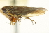  ( - CNC#HEM402891)  @11 [ ] CreativeCommons - Attribution (2012) CNC/CBG Photography Group Centre for Biodiversity Genomics