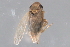  ( - CNC#HEM402917)  @11 [ ] CreativeCommons - Attribution (2012) CBG Photography Group Centre for Biodiversity Genomics