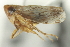  ( - CNC#HEM402950)  @11 [ ] CreativeCommons - Attribution (2012) CBG Photography Group Centre for Biodiversity Genomics