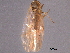  ( - CNC#HEM403643)  @11 [ ] CreativeCommons - Attribution (2012) CNC/CBG Photography Group Centre for Biodiversity Genomics