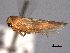  ( - CNC#HEM404389)  @13 [ ] CreativeCommons - Attribution (2012) CNC/CBG Photography Group Centre for Biodiversity Genomics