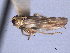  ( - CNC#HEM404568)  @11 [ ] CreativeCommons - Attribution (2012) CNC/CBG Photography Group Centre for Biodiversity Genomics