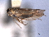  ( - CNC#HEM404570)  @11 [ ] CreativeCommons - Attribution (2012) CNC/CBG Photography Group Centre for Biodiversity Genomics