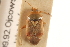  ( - PBI 00396089)  @11 [ ] CreativeCommons - Attribution (2012) CNC/CBG Photography Group Centre for Biodiversity Genomics