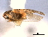  ( - CNC#HEM404684)  @11 [ ] CreativeCommons - Attribution (2012) CNC/CBG Photography Group Centre for Biodiversity Genomics
