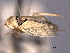  ( - CNC#HEM404785)  @11 [ ] CreativeCommons - Attribution (2012) CNC/CBG Photography Group Centre for Biodiversity Genomics