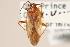  ( - PBI 00396147)  @11 [ ] CreativeCommons - Attribution (2012) CNC/CBG Photography Group Centre for Biodiversity Genomics