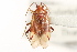  ( - PBI 00396230)  @13 [ ] CreativeCommons - Attribution (2012) CNC/CBG Photography Group Centre for Biodiversity Genomics