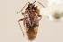  ( - PBI 00396252)  @11 [ ] CreativeCommons - Attribution (2012) CNC/CBG Photography Group Centre for Biodiversity Genomics
