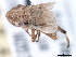  ( - CNC#HEM405475)  @12 [ ] CreativeCommons - Attribution (2012) CBG Photography Group Centre for Biodiversity Genomics