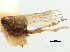  ( - CNC#HEM405706)  @11 [ ] CreativeCommons - Attribution (2012) CNC/CBG Photography Group Centre for Biodiversity Genomics