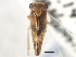  ( - CNC#HEM405741)  @12 [ ] CreativeCommons - Attribution (2012) CNC/CBG Photography Group Centre for Biodiversity Genomics