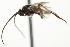  ( - 07PROBE-24644)  @12 [ ] CreativeCommons - Attribution (2010) CBG Photography Group Centre for Biodiversity Genomics