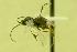  ( - HYM00000286)  @12 [ ] Unspecified (default): All Rights Reserved  Unspecified Unspecified