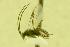  ( - HYM00000290)  @12 [ ] Unspecified (default): All Rights Reserved  Unspecified Unspecified