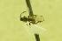  ( - HYM00000334)  @11 [ ] Unspecified (default): All Rights Reserved  Unspecified Unspecified