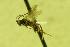  ( - HYM00000338)  @12 [ ] Unspecified (default): All Rights Reserved  Unspecified Unspecified