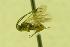  ( - HYM00000339)  @12 [ ] Unspecified (default): All Rights Reserved  Unspecified Unspecified