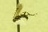  ( - HYM00000343)  @12 [ ] Unspecified (default): All Rights Reserved  Unspecified Unspecified