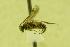  ( - HYM00000345)  @12 [ ] Unspecified (default): All Rights Reserved  Unspecified Unspecified