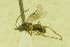  ( - HYM00000371)  @12 [ ] Unspecified (default): All Rights Reserved  Unspecified Unspecified