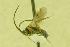  ( - HYM00000377)  @12 [ ] Unspecified (default): All Rights Reserved  Unspecified Unspecified