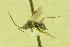  ( - HYM00000381)  @12 [ ] Unspecified (default): All Rights Reserved  Unspecified Unspecified