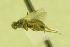  ( - HYM00000424)  @12 [ ] Unspecified (default): All Rights Reserved  Unspecified Unspecified