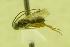  ( - HYM00000428)  @12 [ ] Unspecified (default): All Rights Reserved  Unspecified Unspecified