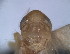  ( - EMP048)  @11 [ ] Copyright (2010) Unspecified Northwest Agriculture and Forest University