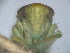  ( - EMP154)  @11 [ ] Copyright (2010) Unspecified Northwest Agriculture and Forest University