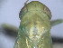  ( - EMP213)  @11 [ ] Copyright (2010) Unspecified Northwest Agriculture and Forest University