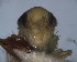  ( - EMP249)  @11 [ ] Copyright (2010) Unspecified Northwest Agriculture and Forest University