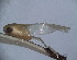  ( - EMP277)  @11 [ ] Copyright (2010) Unspecified Northwest Agriculture and Forest University