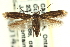  ( - CNCLEP00014282)  @13 [ ] CreativeCommons - Attribution (2013) CNC/CBG Photography Group Centre for Biodiversity Genomics