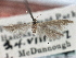  ( - CNCLEP00018204)  @11 [ ] CreativeCommons - Attribution (2013) CNC/CBG Photography Group Centre for Biodiversity Genomics