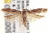  ( - CNCLEP00020093)  @15 [ ] CreativeCommons - Attribution (2013) CNC/CBG Photography Group Centre for Biodiversity Genomics
